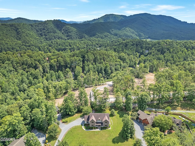 2754 Owls Cove Way, Sevierville, TN 37862 - photo 58