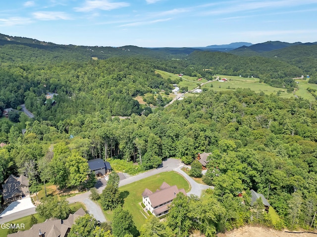 2754 Owls Cove Way, Sevierville, TN 37862 - photo 57