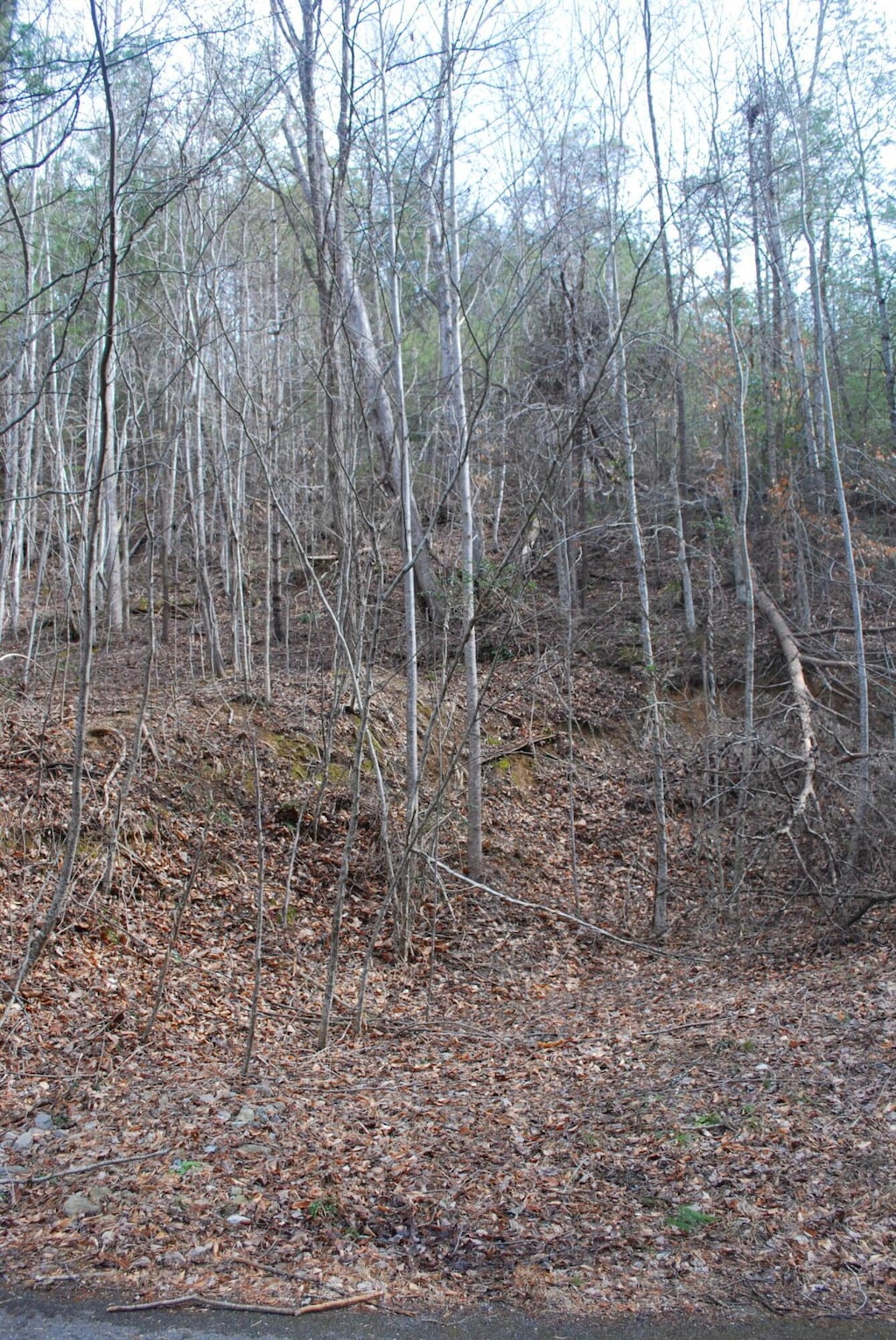 LOT21 Marian Lake Way, Sevierville, TN 37862 - photo 3