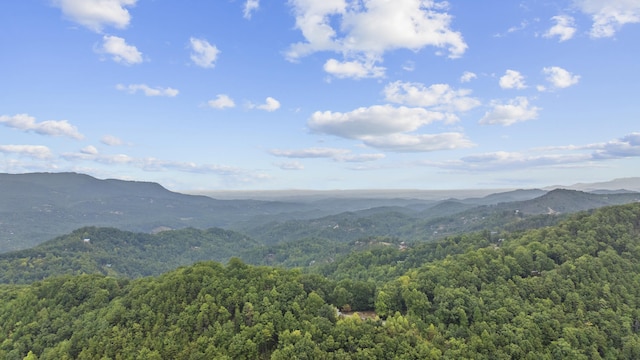 2857 White Oak Ridge Ln, Sevierville, TN 37862 - view of mountain backdrop featuring a heavily wooded area