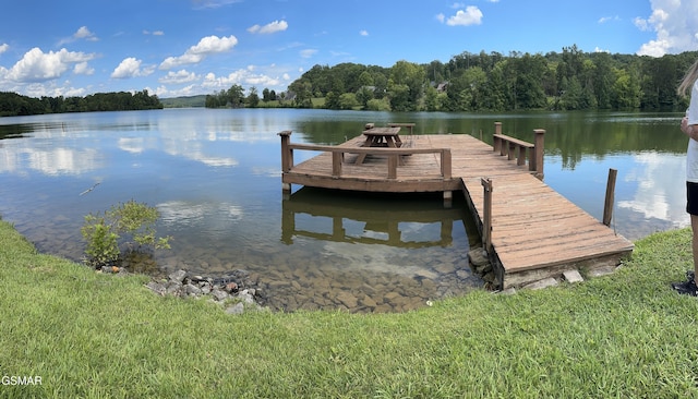 334 Chamberlain Cove Rd, Kingston, TN 37763 - photo 4