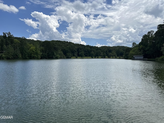 334 Chamberlain Cove Rd, Kingston, TN 37763 - photo 9