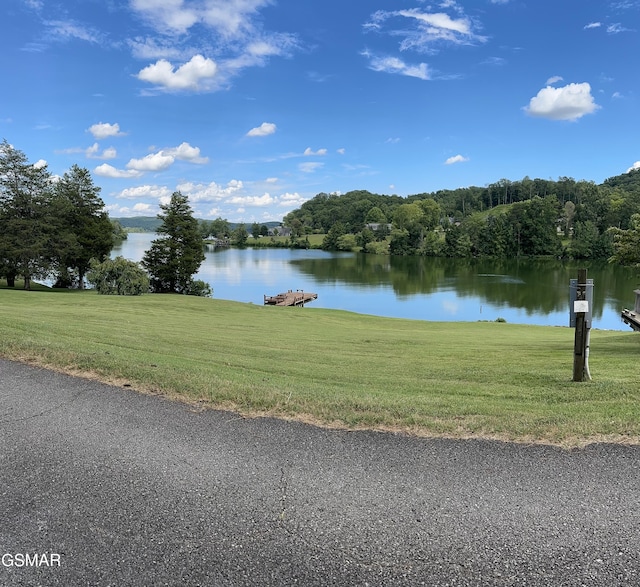 334 Chamberlain Cove Rd, Kingston, TN 37763 - photo 3