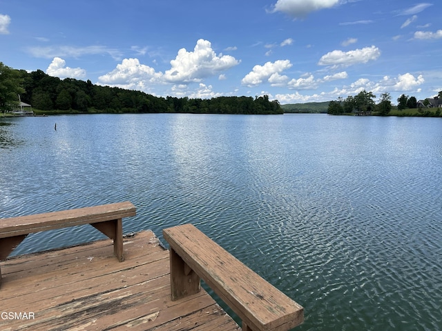 334 Chamberlain Cove Rd, Kingston, TN 37763 - photo 8