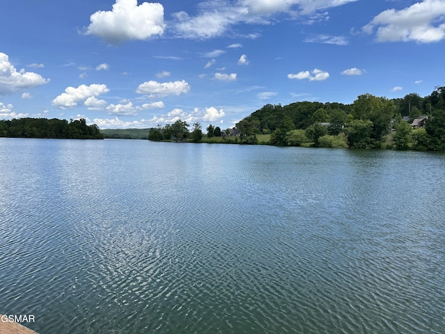 334 Chamberlain Cove Rd, Kingston, TN 37763 - photo 2