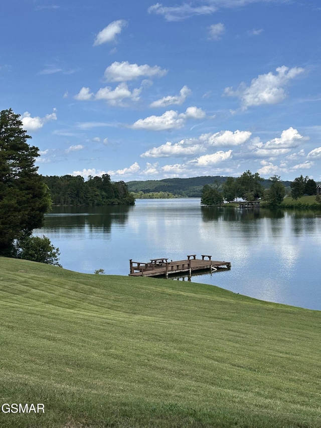334 Chamberlain Cove Rd, Kingston, TN 37763 - photo 1