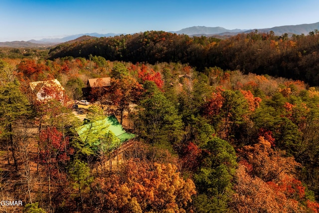 2017 Smoky Cove Rd, Sevierville, TN 37876 - view of mountain background with a heavily wooded area
