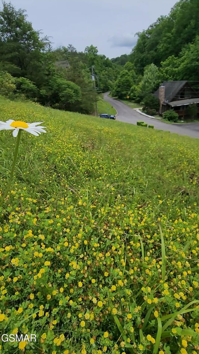 LOT43 Wedge Tailed Ln, Sevierville, TN 37876 - photo 2