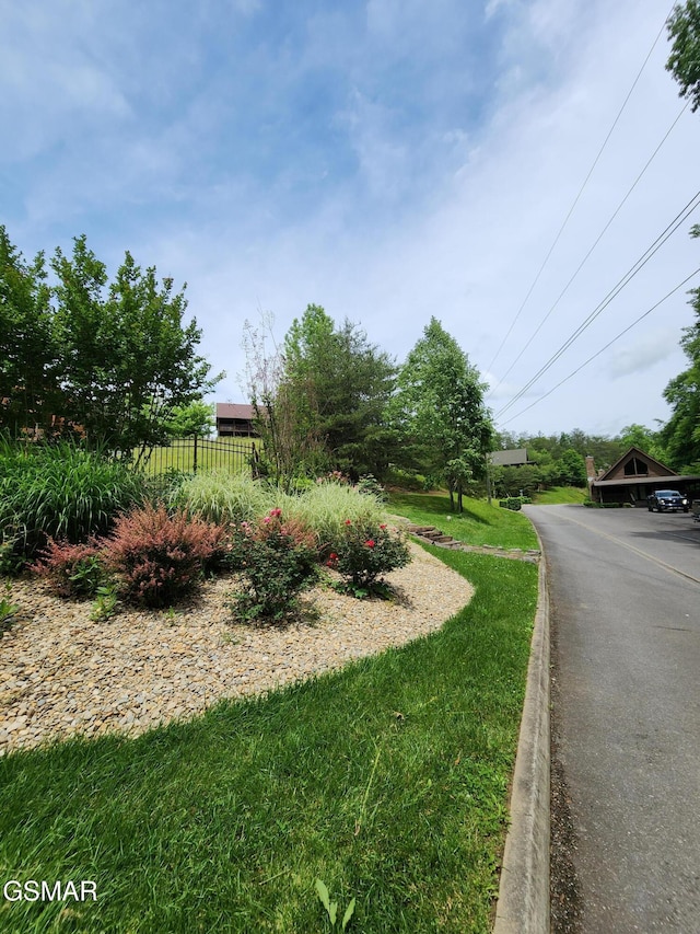 LOT43 Wedge Tailed Ln, Sevierville, TN 37876 - photo 7