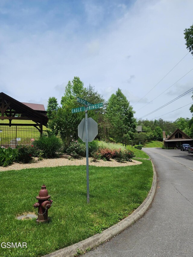 LOT43 Wedge Tailed Ln, Sevierville, TN 37876 - photo 8