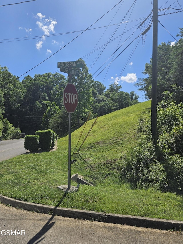 LOT43 Wedge Tailed Ln, Sevierville, TN 37876 - photo 9