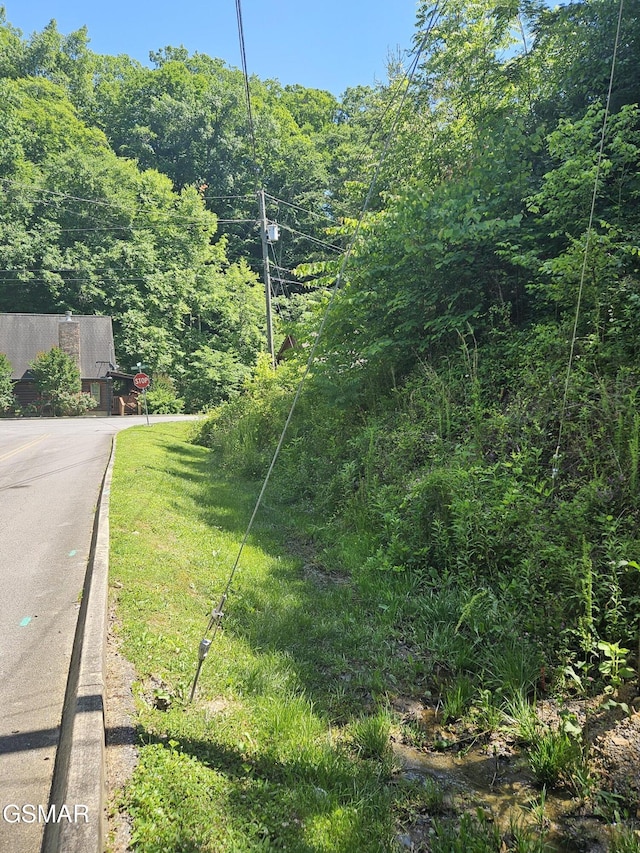 LOT43 Wedge Tailed Ln, Sevierville, TN 37876 - photo 10
