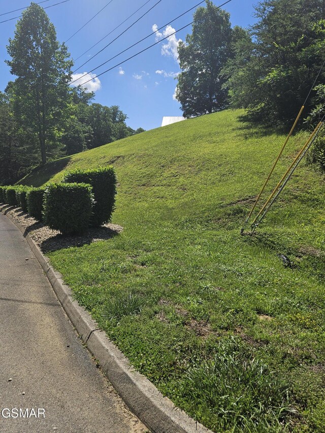 LOT43 Wedge Tailed Ln, Sevierville, TN 37876 - photo 6