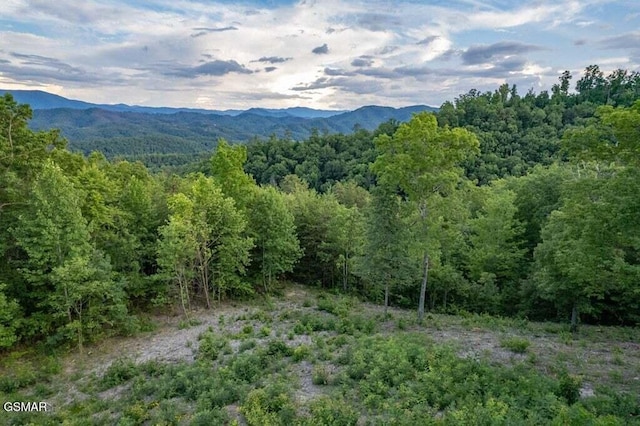 3065 Summit Trails Dr, Sevierville, TN 37862 - photo 10
