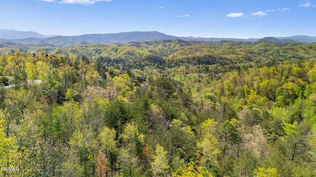 3065 Summit Trails Dr, Sevierville, TN 37862 - photo 15