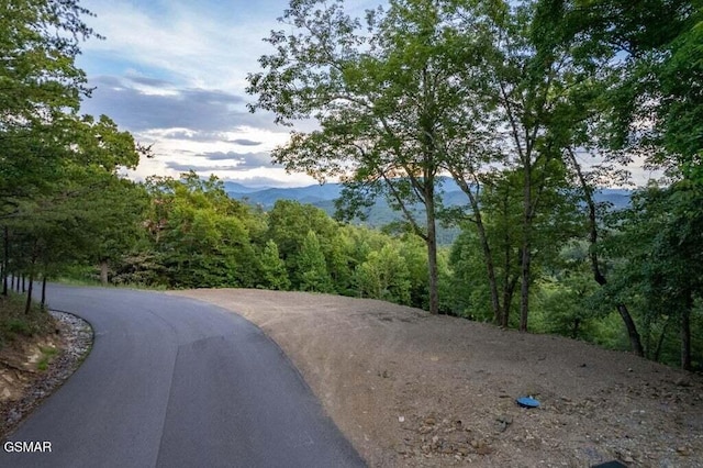 3065 Summit Trails Dr, Sevierville, TN 37862 - photo 6