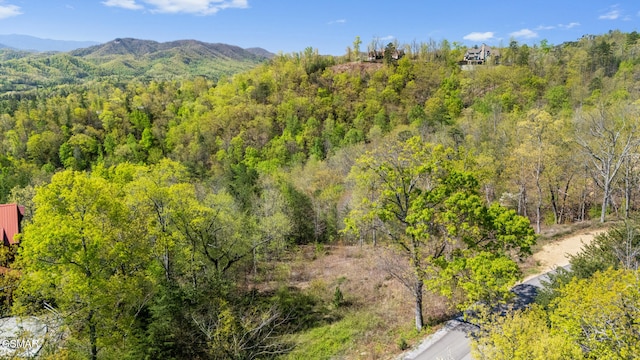 3065 Summit Trails Dr, Sevierville, TN 37862 - photo 3