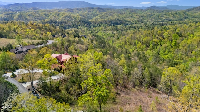 3065 Summit Trails Dr, Sevierville, TN 37862 - photo 5