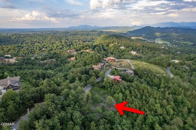 3065 Summit Trails Dr, Sevierville, TN 37862 - photo 8