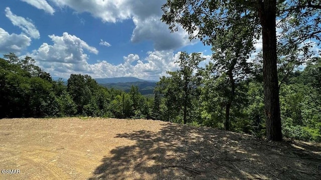 3065 Summit Trails Dr, Sevierville, TN 37862 - photo 16