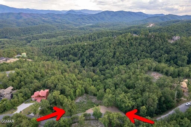 3065 Summit Trails Dr, Sevierville, TN 37862 - photo 2