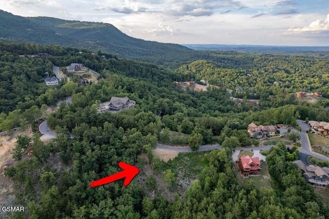 3065 Summit Trails Dr, Sevierville, TN 37862 - photo 4