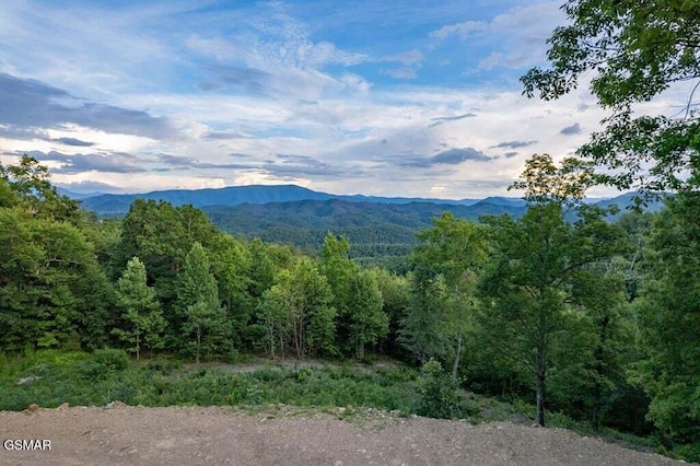 3065 Summit Trails Dr, Sevierville, TN 37862 - photo 1