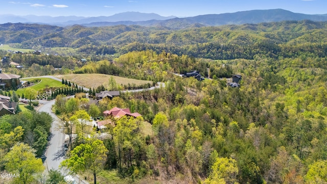 3065 Summit Trails Dr, Sevierville, TN 37862 - photo 7