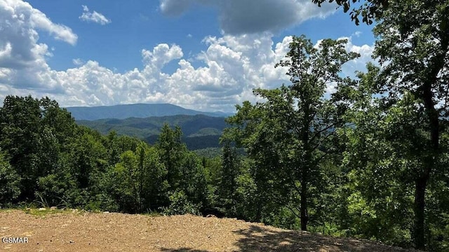 3065 Summit Trails Dr, Sevierville, TN 37862 - photo 12
