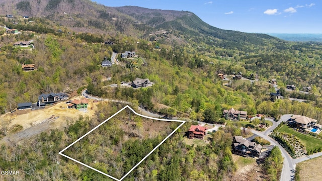 3065 Summit Trails Dr, Sevierville, TN 37862 - photo 11
