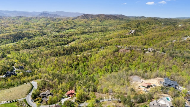 3065 Summit Trails Dr, Sevierville, TN 37862 - photo 14