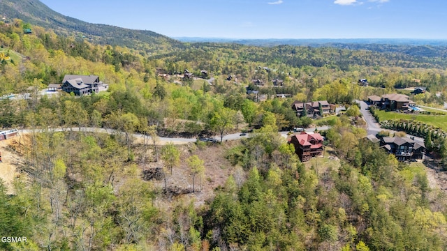 3065 Summit Trails Dr, Sevierville, TN 37862 - photo 9
