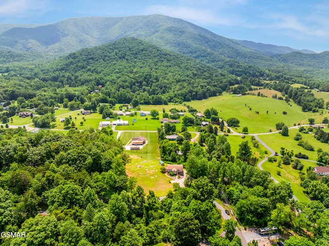 3375 Spring View Dr, Sevierville, TN 37862 - photo 41