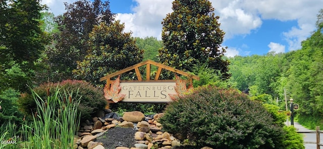 859 Great Smoky Way, Gatlinburg, TN 37738 - photo 42