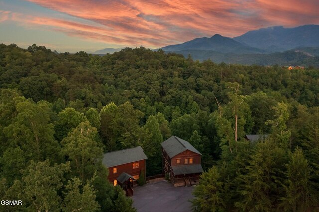 859 Great Smoky Way, Gatlinburg, TN 37738 - photo 2