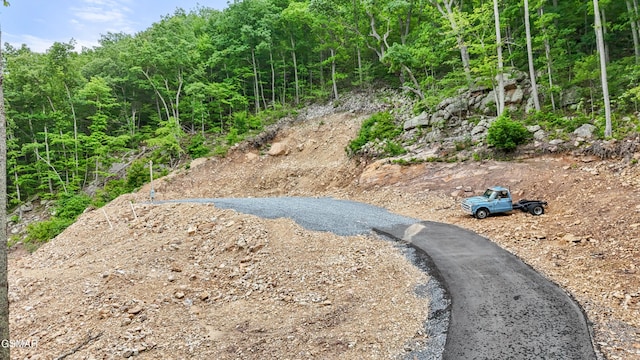 1038 Clingmans Vw, Sevierville, TN 37876 - photo 9