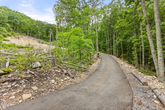 1038 Clingmans Vw, Sevierville, TN 37876 - photo 13