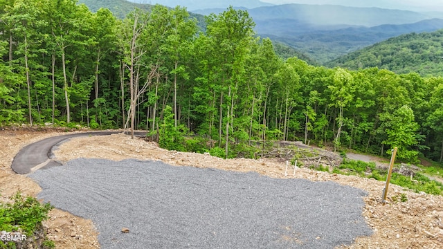 1038 Clingmans Vw, Sevierville, TN 37876 - photo 5