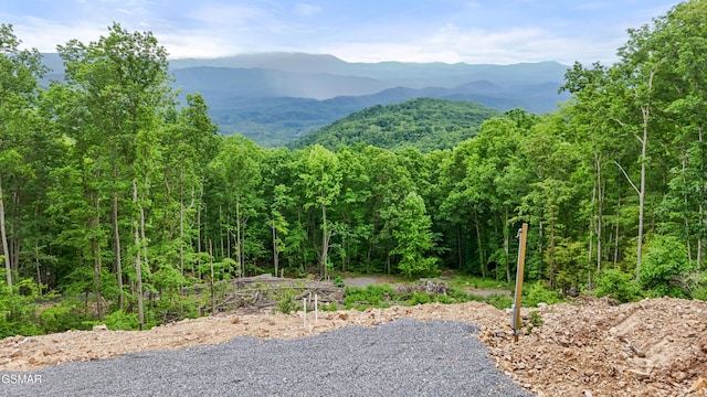 1038 Clingmans Vw, Sevierville, TN 37876 - photo 1