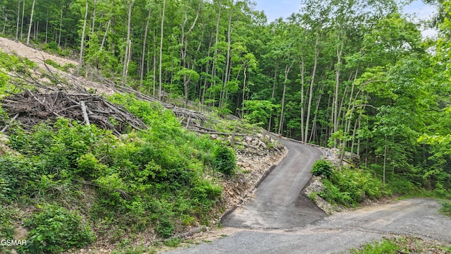 1038 Clingmans Vw, Sevierville, TN 37876 - photo 12