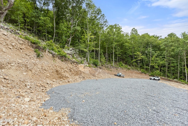1038 Clingmans Vw, Sevierville, TN 37876 - photo 15