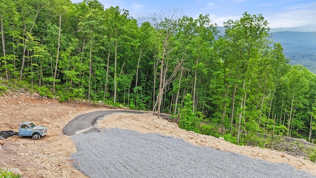 1038 Clingmans Vw, Sevierville, TN 37876 - photo 6