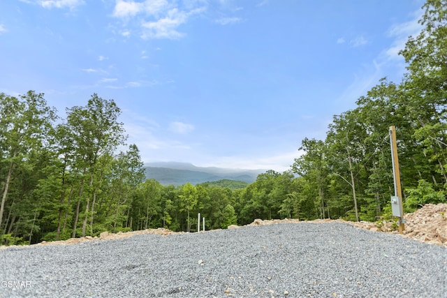 1038 Clingmans Vw, Sevierville, TN 37876 - photo 14