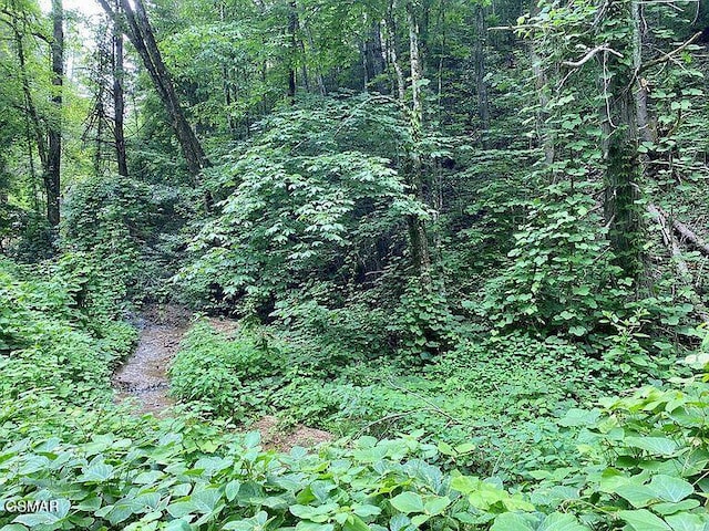 LOT1 Black Walnut Flats Rd, Sevierville TN, 37862 land for sale