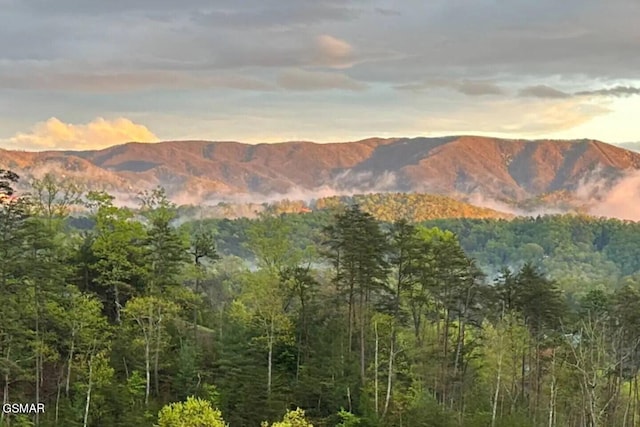 view of mountain feature featuring a view of trees