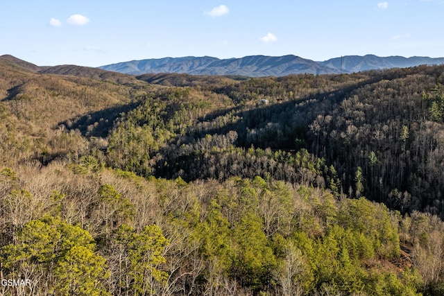 view of mountain feature featuring a forest view