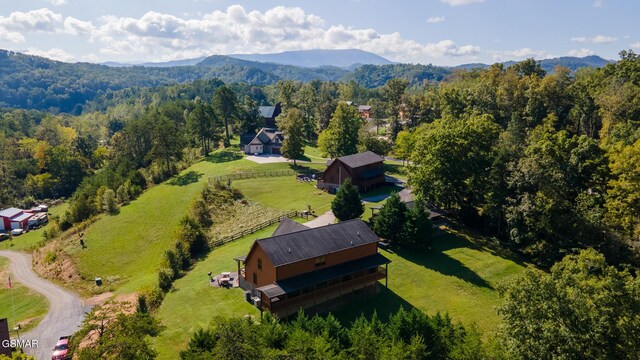 birds eye view of property featuring a mountain view