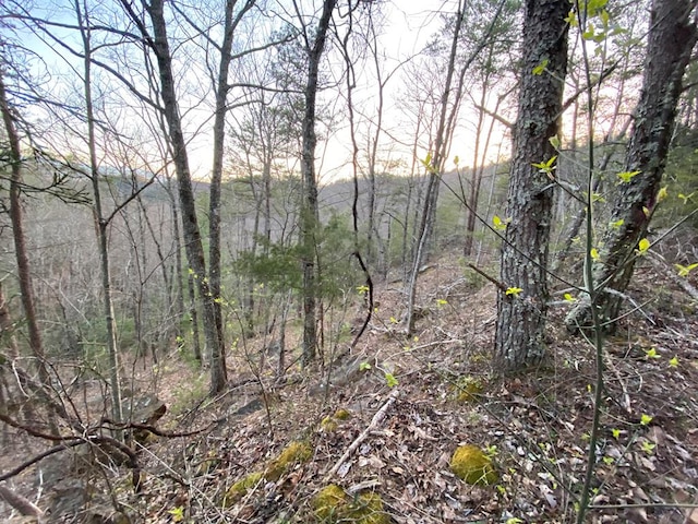 LOT46 Beechwood St, Sevierville TN, 37876 land for sale