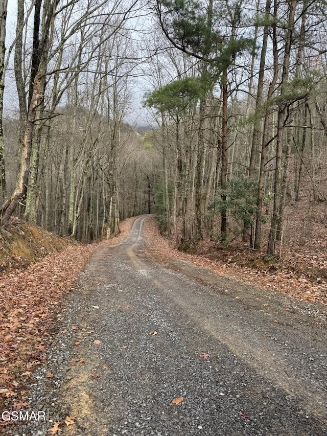 LOT6-7 John Sevier Dr, Sevierville, TN 37876 - photo 1