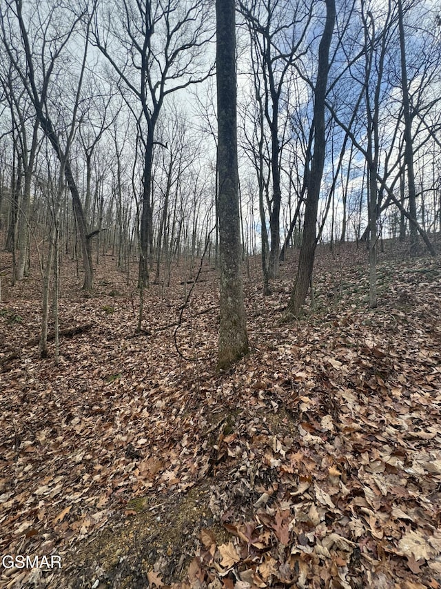 LOT6-7 John Sevier Dr, Sevierville, TN 37876 - photo 3